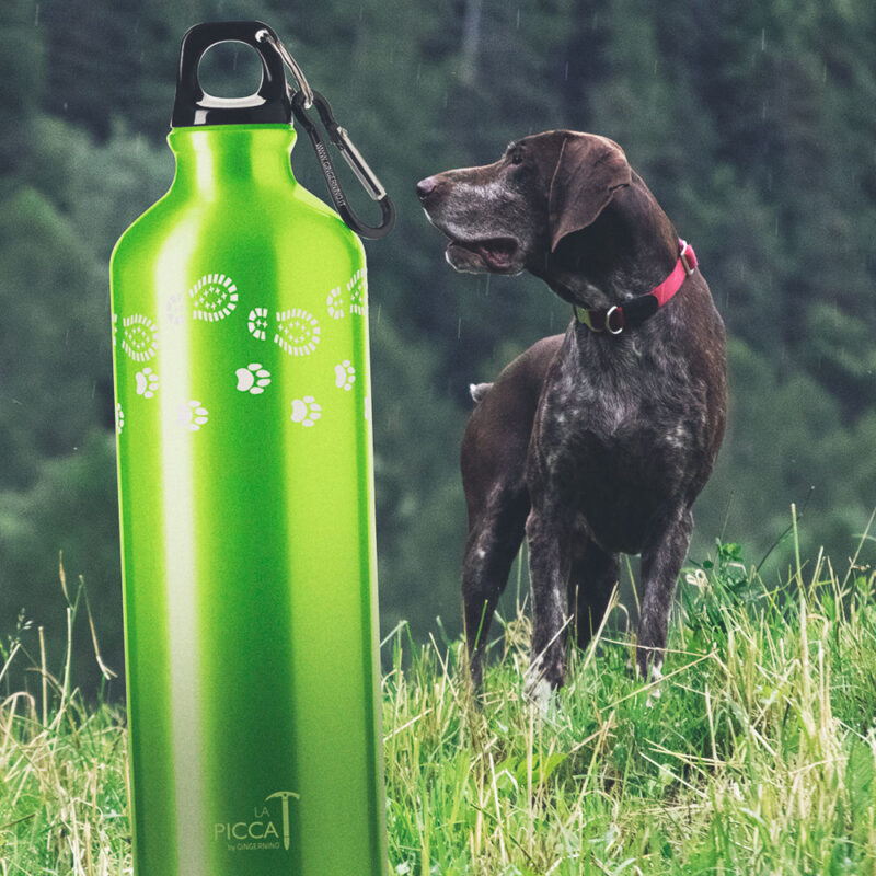 Water bottle My dog and me / Customizable - Image 3